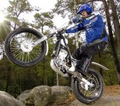 2008 Scorpa SY-250FR photo